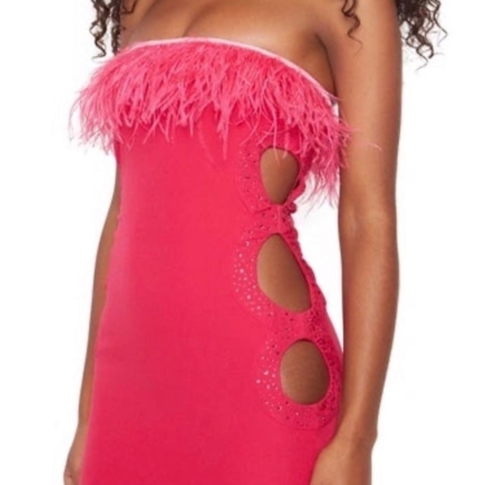 Danielle guzio Dress